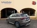 Fiat Tipo Cross FireFly Turbo 100 Cross Braun - thumbnail 2