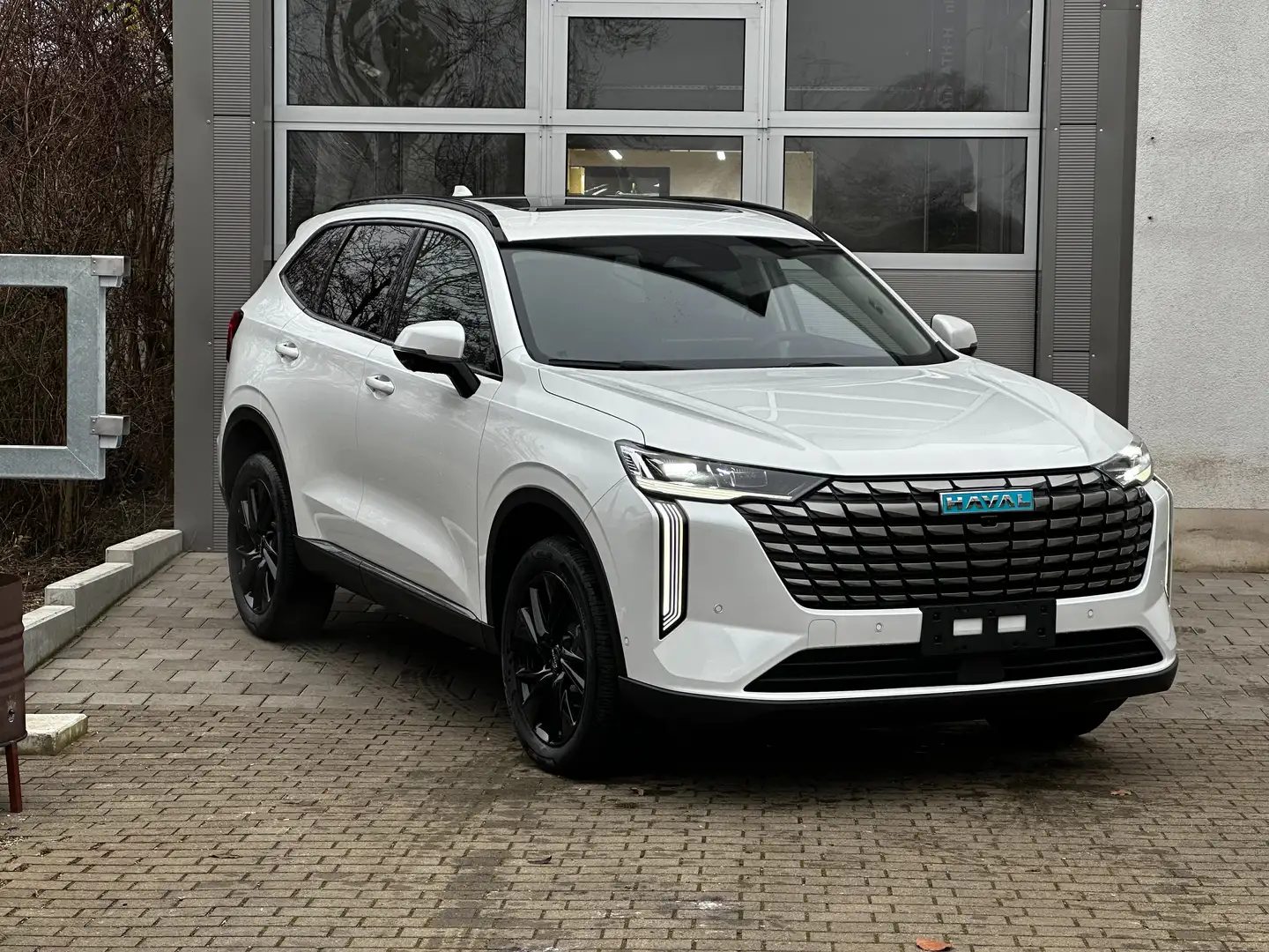 Haval H6 HAVAL H6 LUXURY Weiß - 1