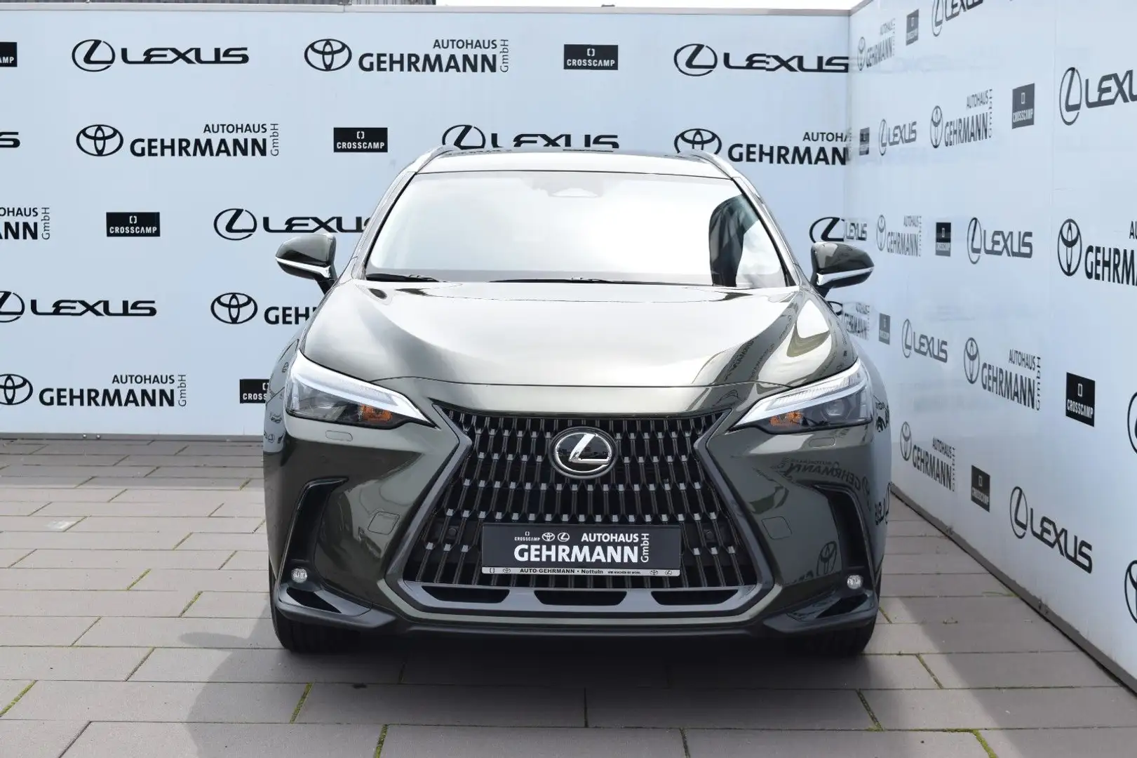 Lexus NX 450h+ 2,5 PHEV AWD Business Plus Grün - 2