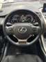 Lexus NX 300 300h Corporate 2WD Violett - thumbnail 18