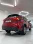 Lexus NX 300 300h Corporate 2WD Violett - thumbnail 10