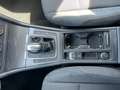 Volkswagen Golf VII Alltrack Variant  4x4 DSG XENON NAVI Grau - thumbnail 18