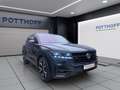 Volkswagen Touareg 3.0 TSI DSG 4M EDITION 20 PANO STDHZG AHK KAMERA Blau - thumbnail 6