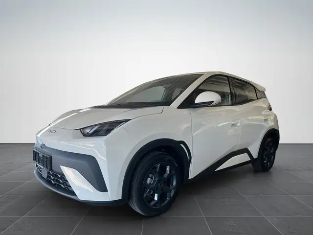 BYD Dolphin Surf