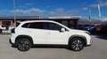 Suzuki S-Cross Nuova S-Cross 1.4 Hybrid 4WD AllGrip Top+ Bianco - thumbnail 7