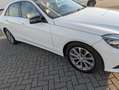 Mercedes-Benz E 200 E 200 Ambition Wit - thumbnail 20