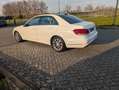 Mercedes-Benz E 200 E 200 Ambition Wit - thumbnail 26