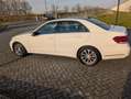 Mercedes-Benz E 200 E 200 Ambition Wit - thumbnail 24