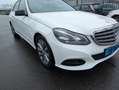 Mercedes-Benz E 200 E 200 Ambition Wit - thumbnail 7