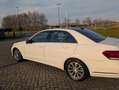 Mercedes-Benz E 200 E 200 Ambition Wit - thumbnail 23