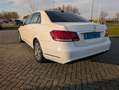 Mercedes-Benz E 200 E 200 Ambition Wit - thumbnail 15