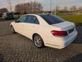 Mercedes-Benz E 200 E 200 Ambition Wit - thumbnail 12