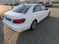 Mercedes-Benz E 200 E 200 Ambition Wit - thumbnail 13