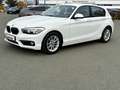 BMW 116 i 5-Türer Advantage NAVI KLIMA SHZ BLUETOOTH Blanc - thumbnail 2