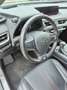 Lexus UX 250h F-Sport Grigio - thumbnail 13