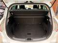 Ford B-Max 1.0 EcoBoost 100 CV Business Tit. Bianco - thumbnail 13