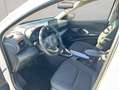 Toyota Yaris Hybrid 116 Business Edition Alb - thumbnail 10