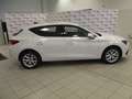 SEAT Leon Leon IV 2020 2.0 tdi Style 115cv Blanc - thumbnail 18