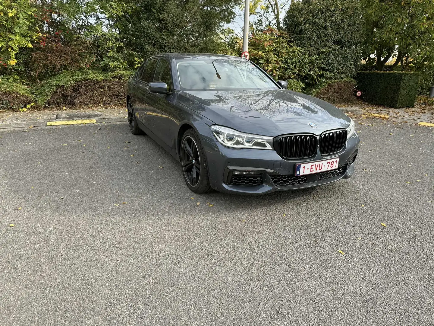 BMW 730 730 dA Grijs - 1