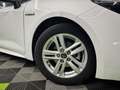 Toyota Corolla 125H Business Blanc - thumbnail 6