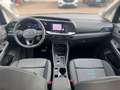 Ford Grand Tourneo 1.5 PlugIn-HYBRID Active |NEU|7Si| Schwarz - thumbnail 20