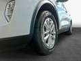 Ford Kuga 2.5 Duratec PHEV TITANIUM X Blanc - thumbnail 5