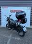 Benelli Leoncino Noir - thumbnail 6