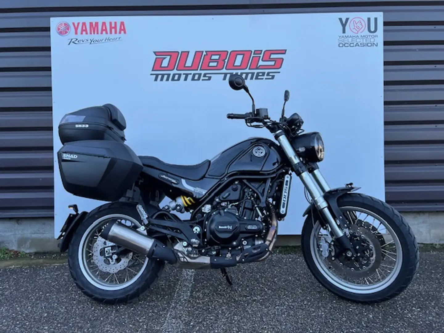 Benelli Leoncino Noir - 1