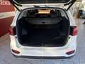 Kia Sorento Platinum 4WD LED 360° Pano AHK Weiß - thumbnail 4