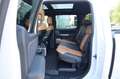 Ford F 150 F150 3.5 Platinum SuperCrew/ACC/B&O/PANO/TTW/R20 Blanco - thumbnail 18