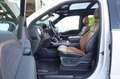 Ford F 150 F150 3.5 Platinum SuperCrew/ACC/B&O/PANO/TTW/R20 Alb - thumbnail 9