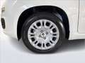 Fiat Panda Pandina 1.0 firefly hybrid s&s 70cv Blanco - thumbnail 5