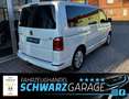 Volkswagen T6 Multivan Highline*ACC*AHK* Bianco - thumbnail 14