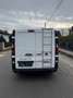 Fiat Talento Kastenwagen - thumbnail 3