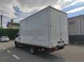 Iveco Daily 35C14 EURO6 Weiß - thumbnail 6