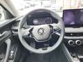 Skoda Superb Selection TDI DSG Schwarz - thumbnail 7
