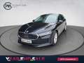 Skoda Superb Selection TDI DSG Schwarz - thumbnail 1