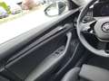 Skoda Superb Selection TDI DSG Schwarz - thumbnail 9