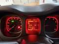 Fiat Panda Panda Cross 1.0 hybrid City Cross PREZZO REALE! Grigio - thumbnail 5