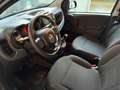 Fiat Panda Panda Cross 1.0 hybrid City Cross PREZZO REALE! Grigio - thumbnail 7
