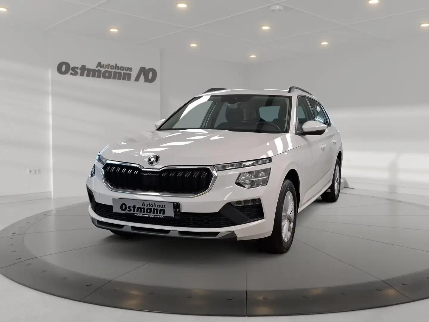 Skoda Kamiq 1.0 TSI Selection LED SHZ PDC DAB+ Weiß - 1