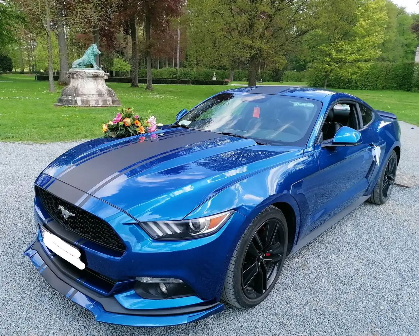 Ford Mustang 2.3 EcoBoost Blue Edition Blauw - 1