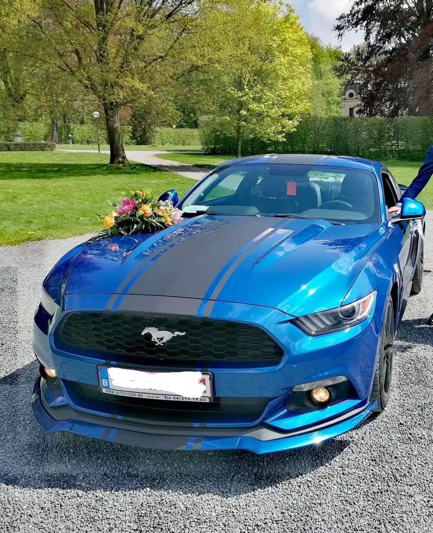 Ford Mustang 2.3 EcoBoost Blue Edition Bleu - 2