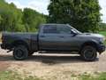 Dodge RAM Dodge RAM 2500 Power Wagon 6,4 V8 CrewCab Grau - thumbnail 4