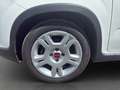 Fiat Panda Pequeño Manual de 5 Puertas Blanco - thumbnail 15