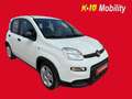 Fiat Panda Pequeño Manual de 5 Puertas Blanco - thumbnail 1
