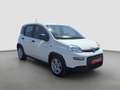 Fiat Panda Pequeño Manual de 5 Puertas Blanco - thumbnail 8