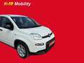Fiat Panda Pequeño Manual de 5 Puertas Blanco - thumbnail 10