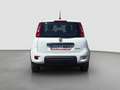 Fiat Panda Pequeño Manual de 5 Puertas Blanco - thumbnail 5