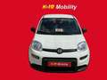 Fiat Panda Pequeño Manual de 5 Puertas Blanco - thumbnail 2